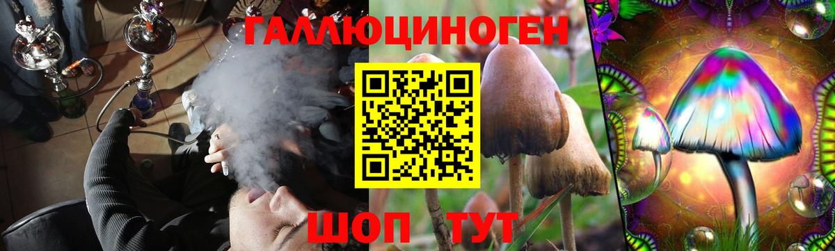 Псилоцибиновые грибы GOLDEN TEACHER  Галлюциногенные грибы Cubensis  Кириши  купить наркоту  Вход с VPN 