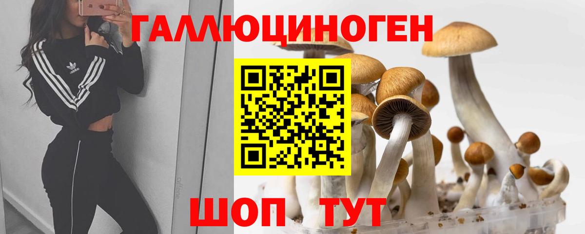 Псилоцибиновые грибы Psilocybine cubensis Кириши