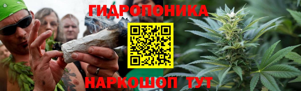 Бошки Шишки конопля Кириши